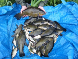 A Good Catch Fishing in Leitrim